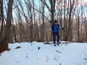 53 Tratto nel bosco di faggeta...